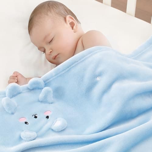 Babyhuggle Plush Blanket