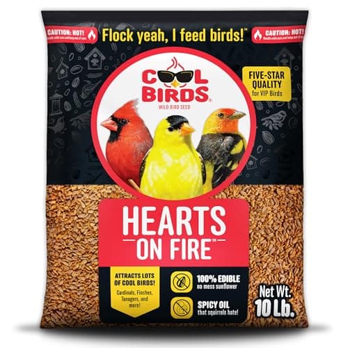 Hot Sunflower Hearts
