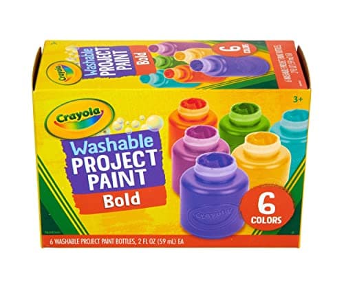 Washable Project Paint