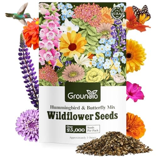 Hummingbird & Butterfly Mix
