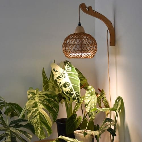 Bstrip Rattan Grow Light