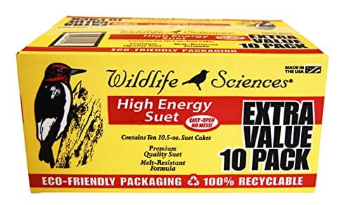 High-Energy Suet 10-Pack