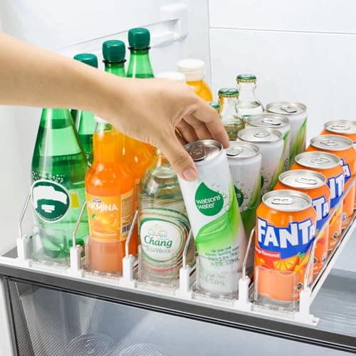 Dual‑Spring Can Dispenser