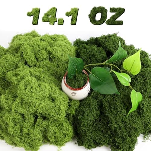 Jollidecor Dual-Color Moss
