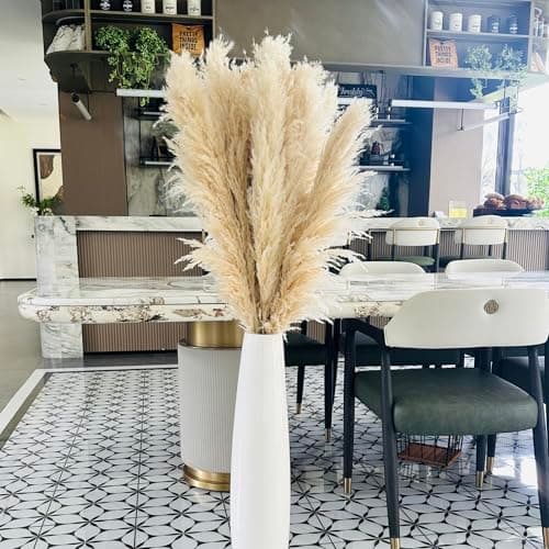 Zephynar Tall Pampas Grass