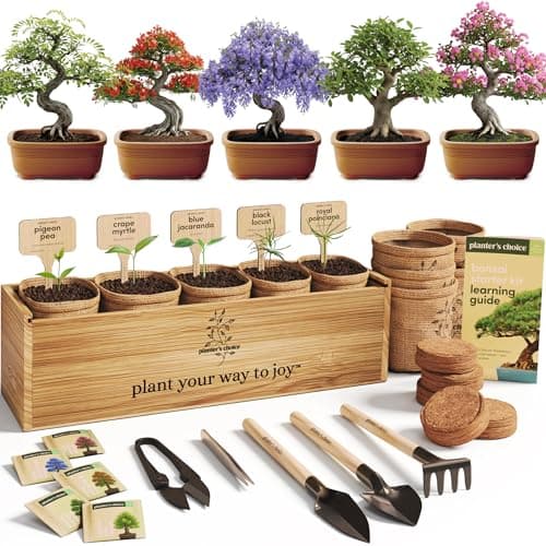 Planter's Choice Bonsai Kit