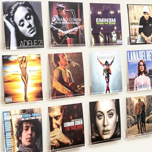 12-Pack Vinyl Holders