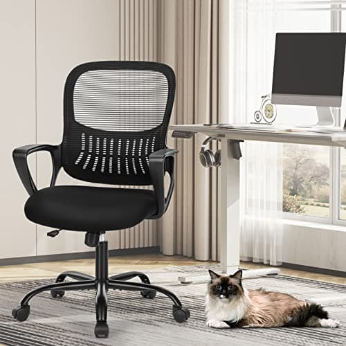 Ergonomic Mesh Chair