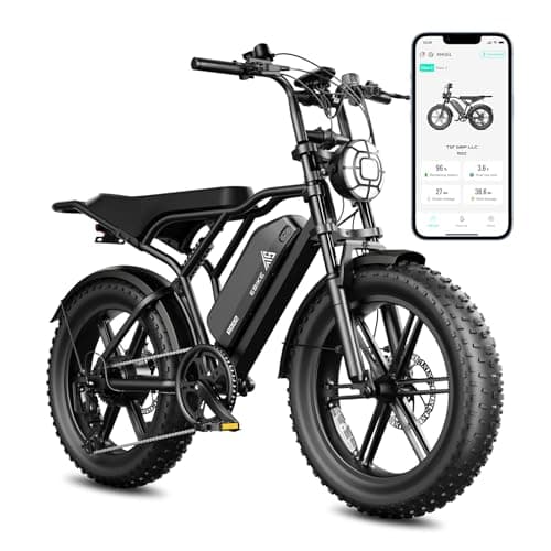 1500W Peak Fat-Tire
