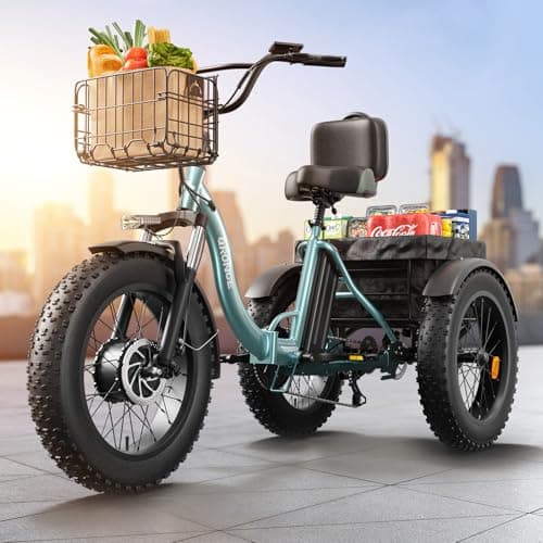 QRONGE Electric Trike