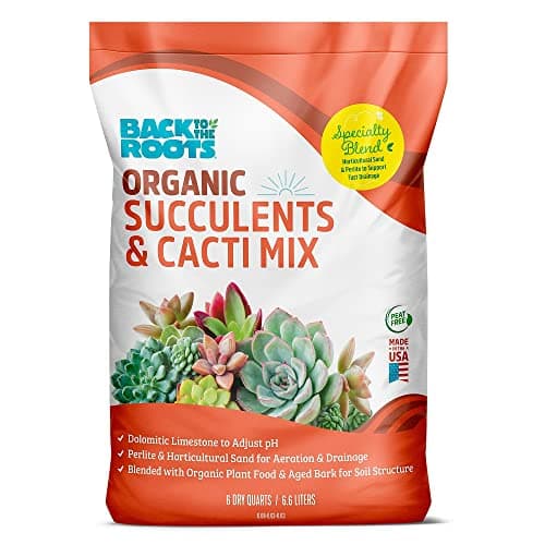 Back to the Roots Succulent Mix