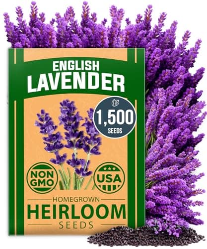 The Best Herb Plants & Seeds