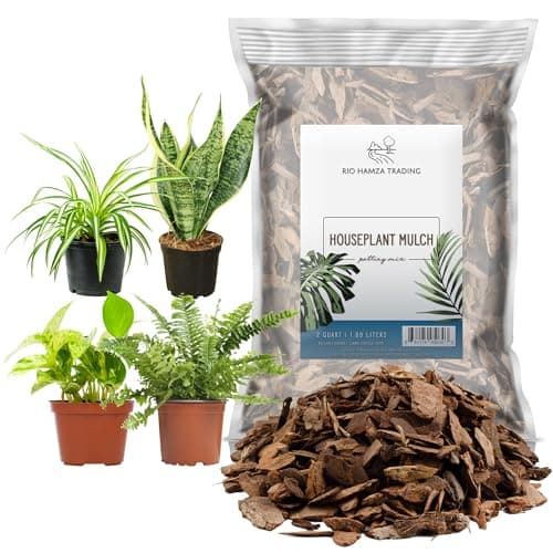 Rio Hamza Trading Mulch
