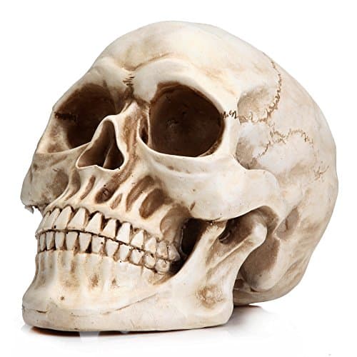 READAEER Life-Size Skull