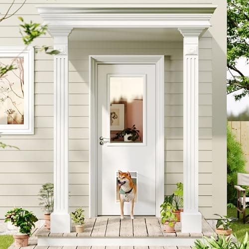 32x80 One-Lite Door