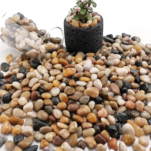 Polished River Rocks