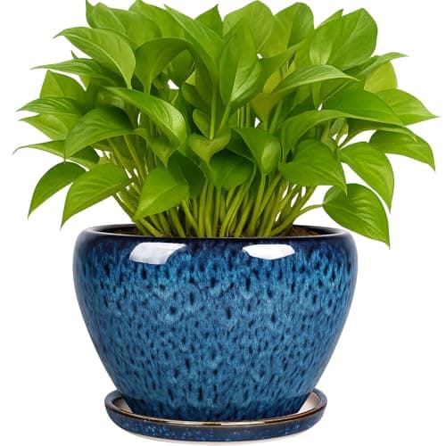 Ceramic 6-Inch Planter