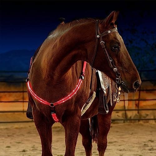 LED Night Safety Collar