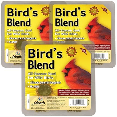 The Best Suet Bird Food