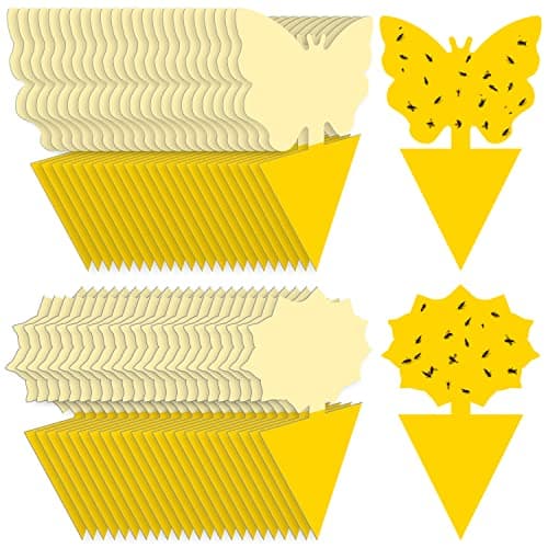 Landisun Sticky Gnat Traps
