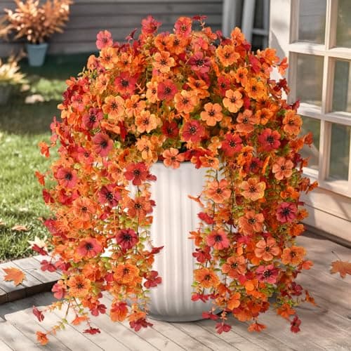 Hommyea Hanging Blooms