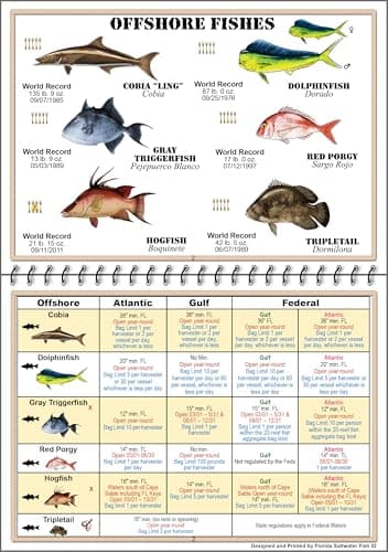 Comprehensive Fish Guide