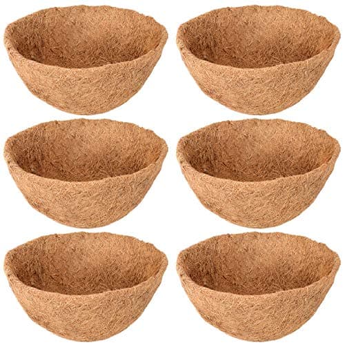 Legigo Coco Liners 6 Pack