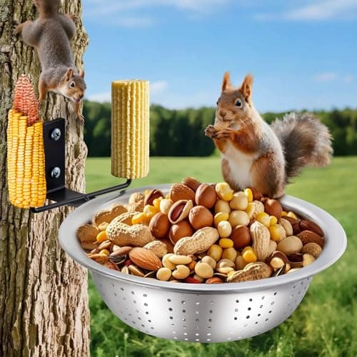 The Best Squirrel Supplies
