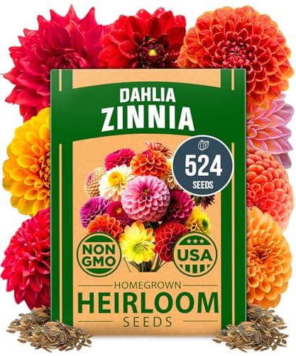 Showstopper Zinnia Dahlia Mix