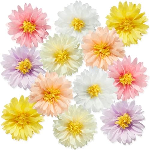 Colorful Daisy Poms
