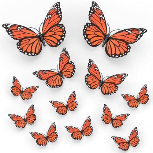 Budget Monarch Decals