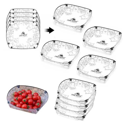 Collapsible Plate Set