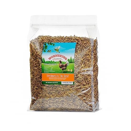 2LB Dried Mealworms