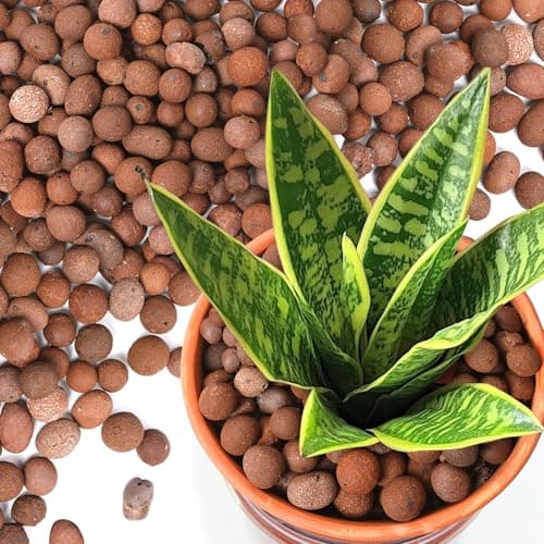 The Best Hydroponic Growing Media