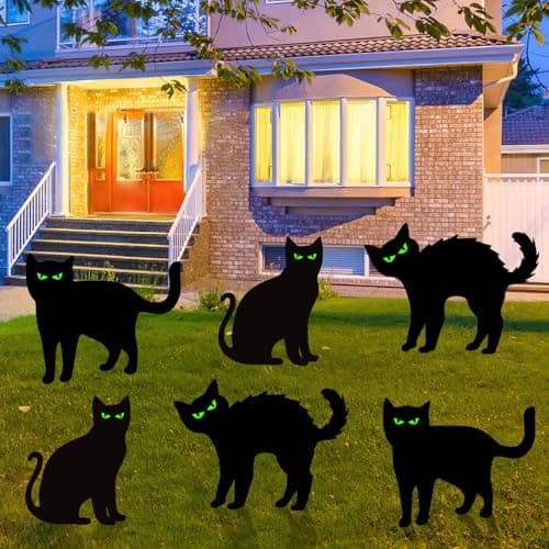 Glow-Eye Black Cats