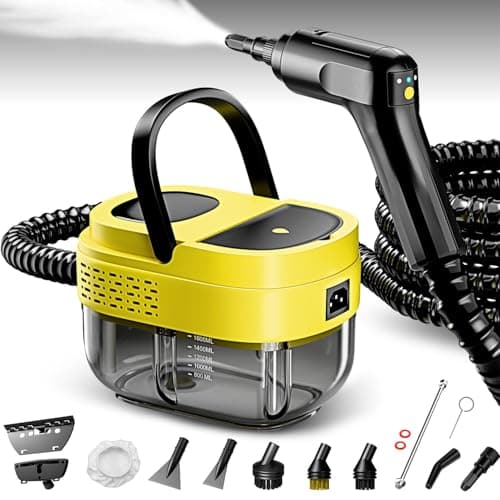 Powerful Compact Steamer