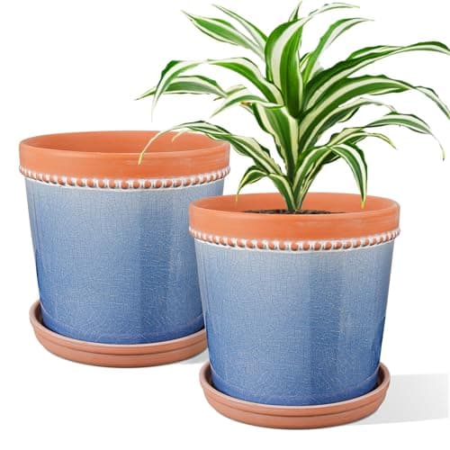 KERUITA Crackle Ceramic