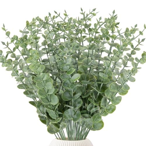 Eucalyptus Stems Set