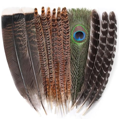 Large Natural Feathers