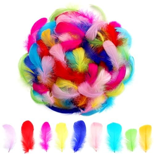 300pcs Small Feathers