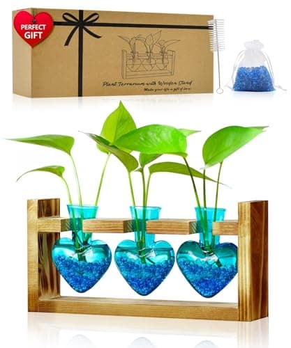 Heart-Shaped Terrarium