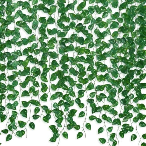 Ultra-Long Ivy Vine