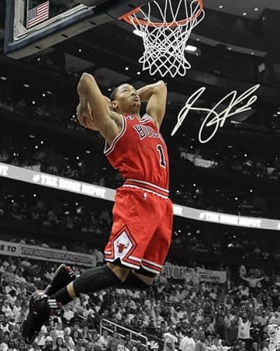 Ikonic Derrick Rose Print