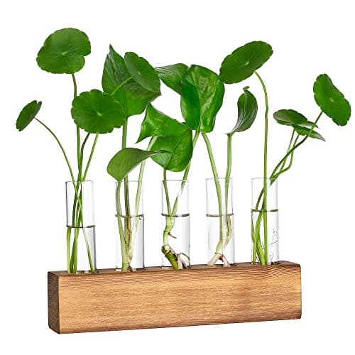 5-Tube Propagation Station