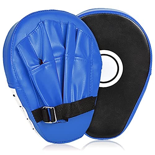Lightweight Focus Mitts