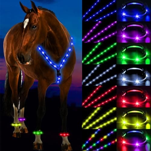 LED Breastplate & Leg Set