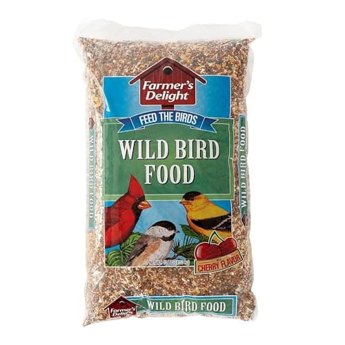 The Best Bird Seed