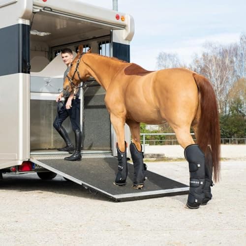 Ibuz.in 2-Horse Trailer