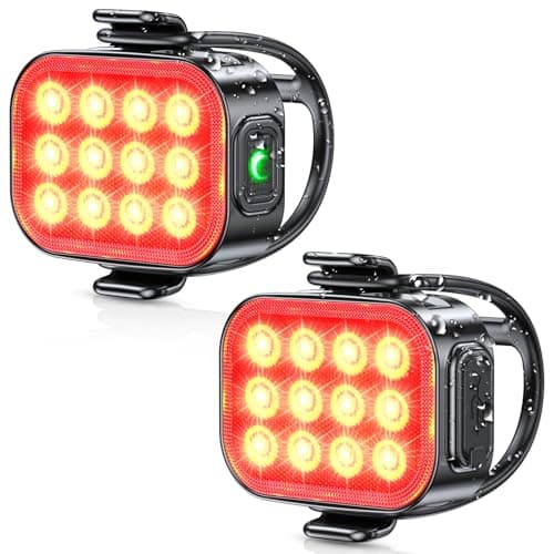 Dual Rear Bike Light