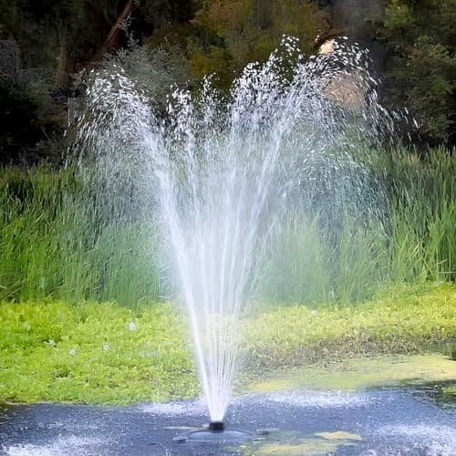 Custom Pro FT 14000 Fountain Kit